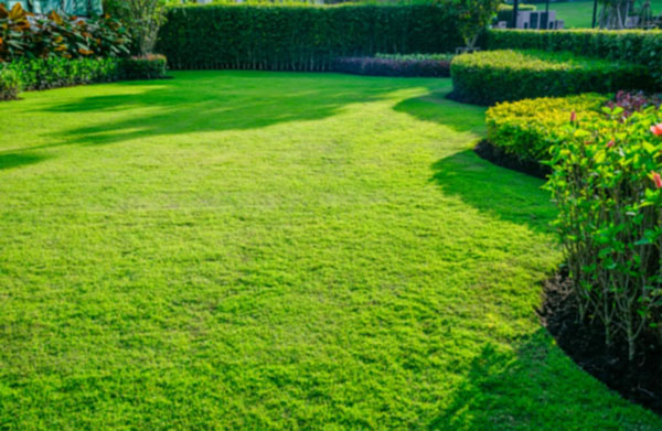 Entretien d'espace vert – Vichy